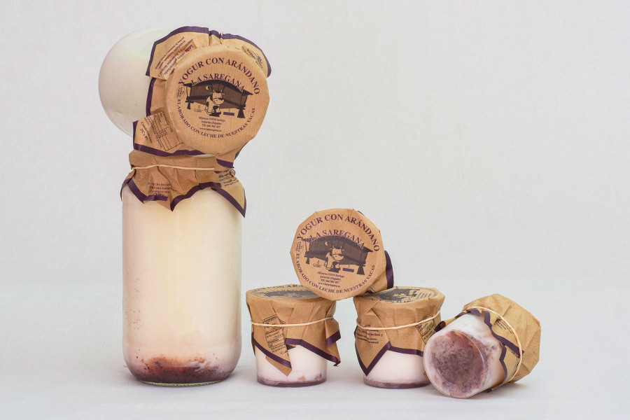 Yogur con arándanos